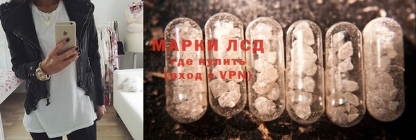 стаф Алексин
